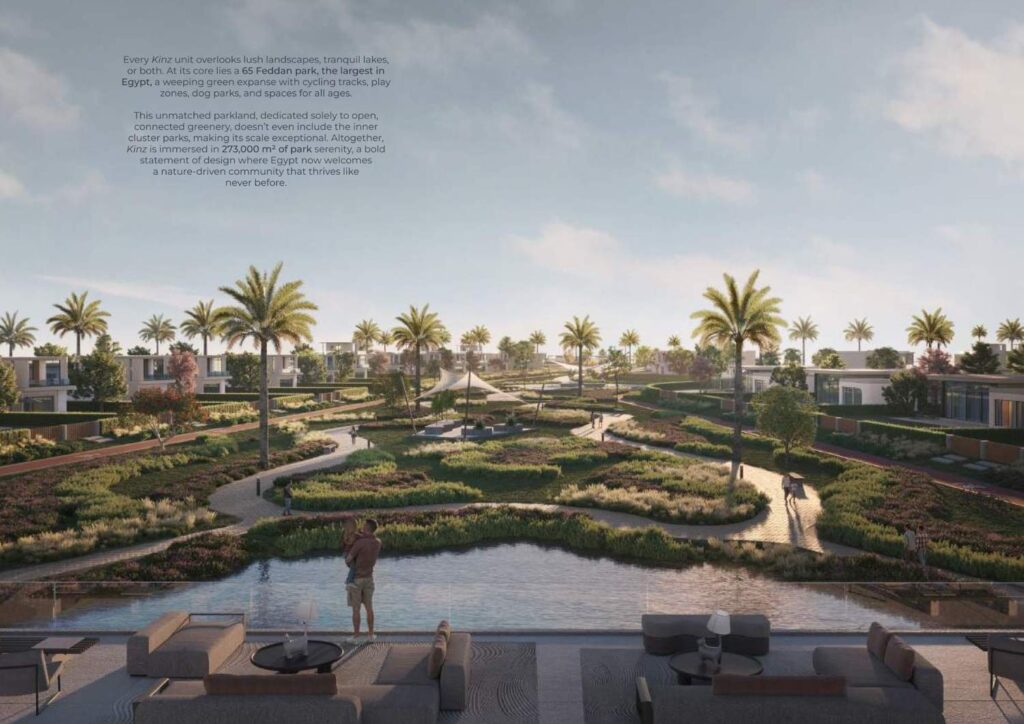  كنز زايد الجديدة Kinz New Zayed