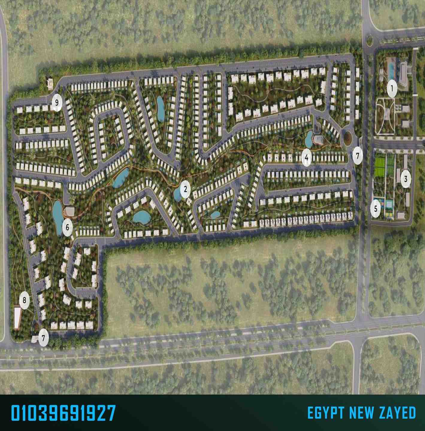 كنز زايد الجديدة Kinz New Zayed